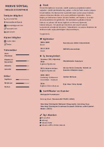 Yabancı Dil Öğretmeni Cv Örnekleri cv indir